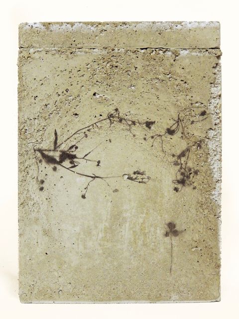 TINKEBELL., Flower Collage In A Box Of Concrete With Aceton Print, SOMETHING PRETTY THAT CAN DO NO HARM 3, 2017