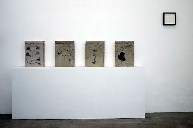 TORCH gallery, , ,