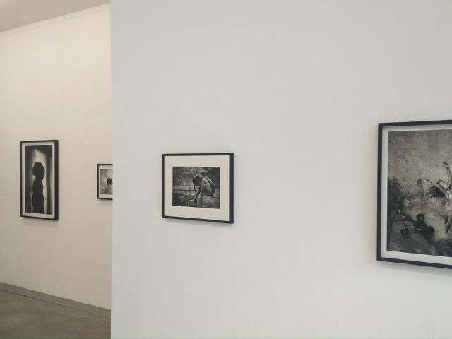 TORCH gallery, , ,