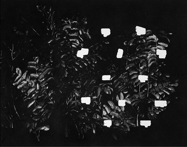 Thijs Zweers, Siberian chalk on paper, Zero One I, 2014