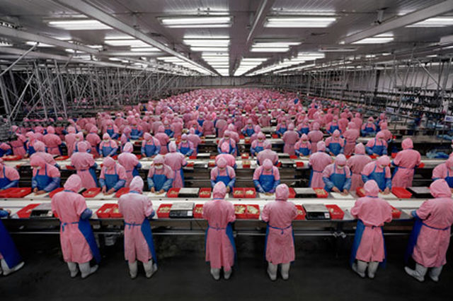 Edward Burtynsky, C-print , Manufacturing #17 Deda Chicken Processing Plant, Dehui City, Jilin Province, China, 2005