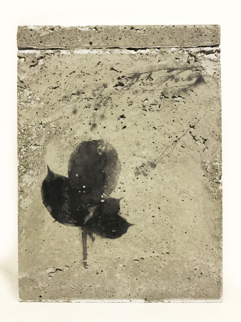 TINKEBELL., Flower collage in a box of concrete with aceton print , Something Pretty That Can Do No Harm 1, 2017