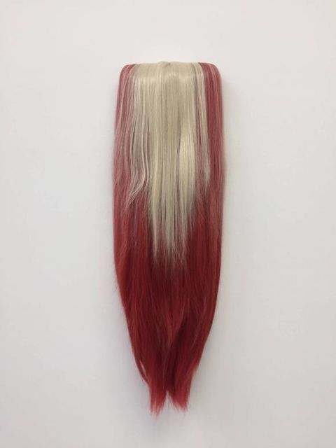 Twan Janssen, Wig , Untitled , 2009