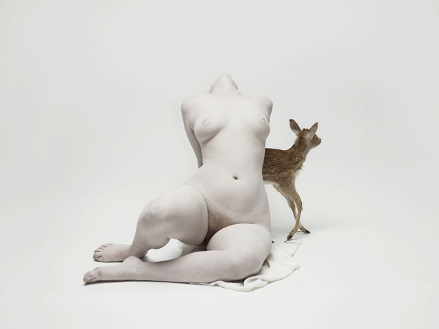 Nadav  Kander, Chromogenic print, Isley with fawn I, 2011