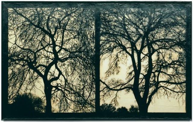 Mike & Doug Starn, Archival inkjet prints with encaustic and wax, Block out the Sun 6, 1997