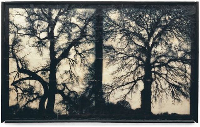 Mike & Doug Starn, Archival inkjet prints with encaustic and wax, Block Out the Sun 3, 2007