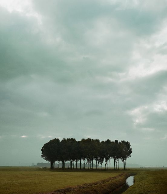 Ellen Kooi, Hahnemülle Photo RAG, Heemskerk - Groep , 2018