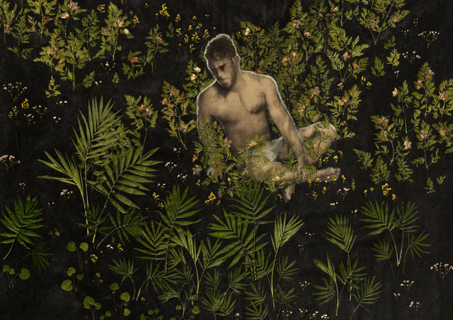 Luis Xertu, Plants, acrylics on canvas, Hylas Decides to Not Return, 2020