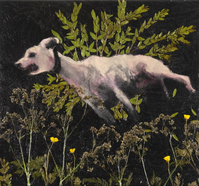 Luis Xertu, Plants, acrylic on canvas, Chaser I (Hunter, Gatherer), 2021