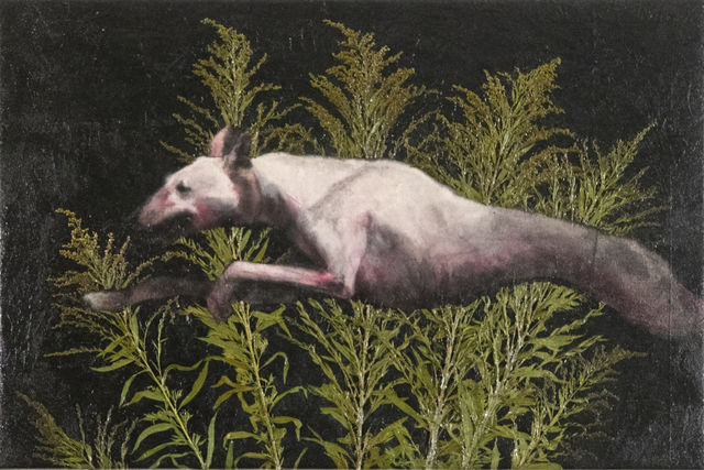 Luis Xertu, Plants, acrylic on canvas, Chaser II (Hunter, Gatherer), 2021