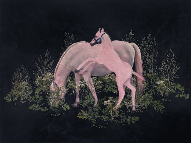 Luis Xertu, Plants, acrylic on canvas, The Superior's Horses, 2022