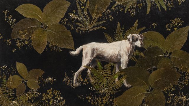Luis Xertu, Plants, acrylic on canvas, Introspection, 2022