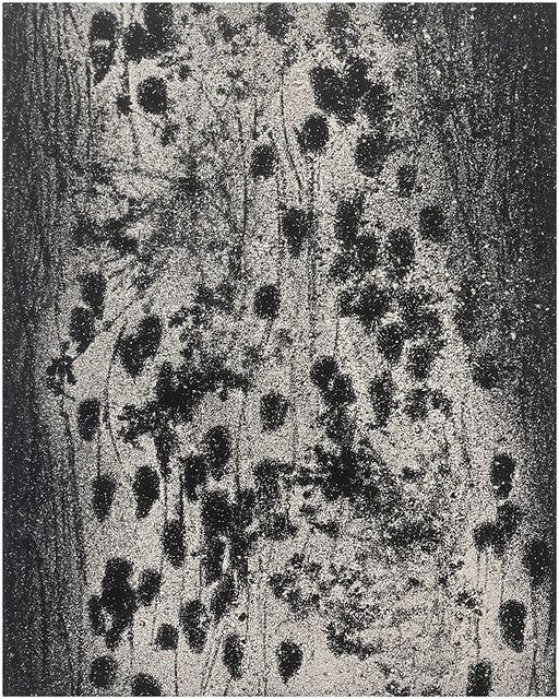 TINKEBELL., Soda ash, toxics on canvas, Arena Candidus Solvay #11, 2023