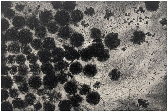 TINKEBELL., Soda ash, toxics on canvas, Arena Candidus Solvay #7, 2023