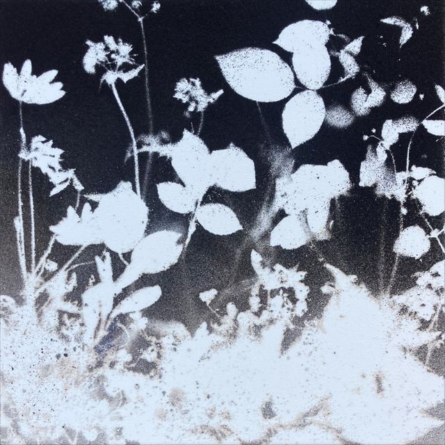 TINKEBELL., Particulates, soda ash, toxics on canvas, TORCH-flora in Solva-ash and Tata-dust (1), 