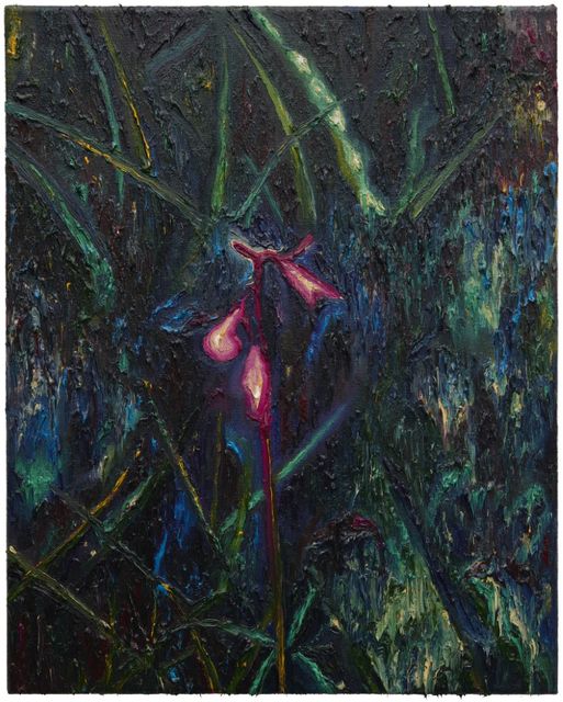 Krijn Kroes, Oil on linen, Bles-harlekijn, 2024