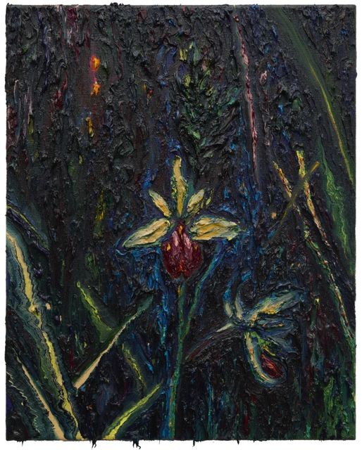 Krijn Kroes, Oil on linen, Ophrys sphegodes II, 2024