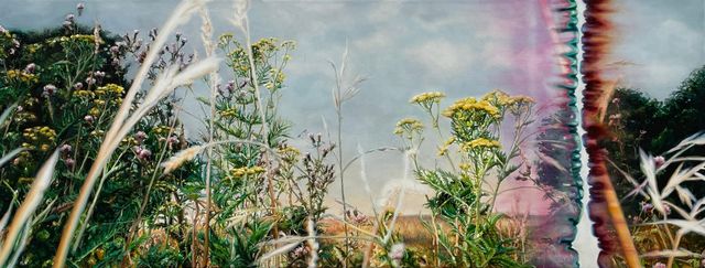 Anya Janssen, Oil on linen, Altered States 1, 2023