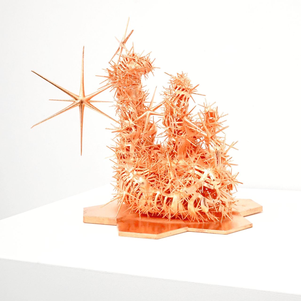 Ashley Zelinskie Artist Profile Photo